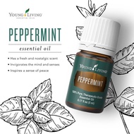 Young Living Essential oil Peppermint 5ml sealed