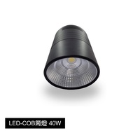 LED COB Downlight 40W Ø170 x 180mm