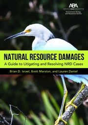 Natural Resource Damages Brian D. Israel