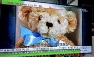 lg c2 65吋oled tv