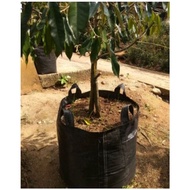 169 liter planter bag size 60, 60, 60