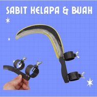 SABIT KELAPA DAN BUAH-BUAHAN SADAT KELAPA