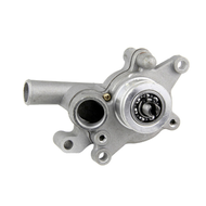 (DKCZ) Water Pump Assembly for Linhai Buyang LH250 LH300 250CC 260CC 300CC ATV Replacement Parts