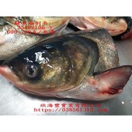 【海鮮7-11】鰱魚頭剖半   600克上/包     *魚頭肉質細嫩、營養豐富。   **每包280元**
