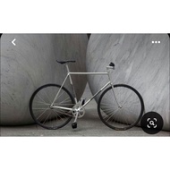 Custom Fixie Frame