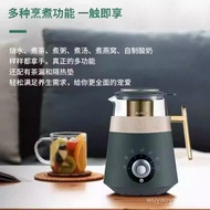 Thermos EHA-1352A-G Multifunctional Health Cup Scented Tea Fruit Tea Health Kettle Electric Kettle 0