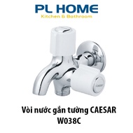 High quality CAESAR W038C cold shower head, standard 21mm threaded head connected to sanitary equipm