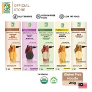 HALAL Radiant Gluten Free Noodle Healthy Noodle