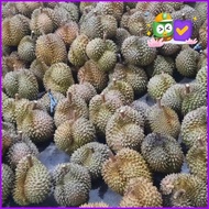 Durian Utuh Montong Palu Parigi 8Kg X 75Rb Original Best Seller