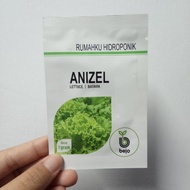 Ready Benih Biji Bibit Lettuce Anizel Bejo Sayuran Selada Hidroponik