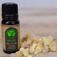 The Frankincense Store Boswellia Frankincense Essential Oil Serrata 10ml