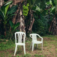 CD-R Bad Bunny - discography