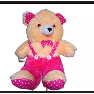Best SELLER Teddy Bear 50cm