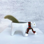 Potted Monkey Tail Pillar Green Plant Indoor Desktop Nine-Tailed Fox Cartoon Cat Flower Pot Cactus P
