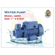 Peripheral QB60 0.5HP WATER PUMP (1'' INLET &amp; OUTLET) GARDEN WATER PUMP