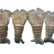 Fresh Frozen Crayfish 400-500g