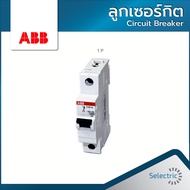 เซอร์กิตเบรกเกอร์ MCB 1P  ลูกเซอร์กิต เบรคเกอร์ ลูกย่อย Circuit Breaker  ABB