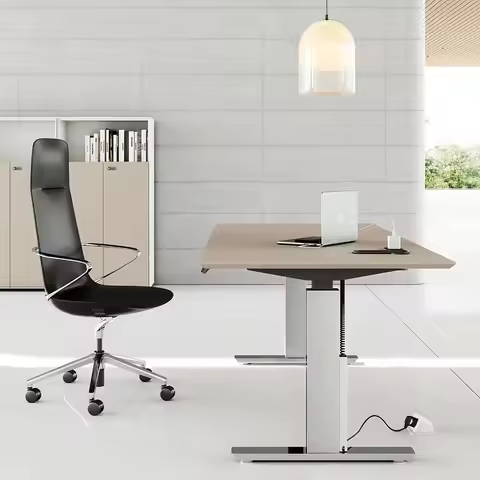 Basic Electric Height Adjustable Desk Office Home Gaming Computer Study Table Industrial Modern Opti