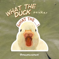 What The Duck Sticker, Cute Angry Duck Sticker, Animal Sticker, Waterproof Decorative Journal Sticke