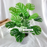 BUNGA MONSTERA PLASTIK DAUN MONSTERA BUNGA PLASTIK TANAMAN ARTIFICIAL