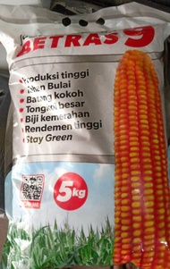 Benih jagung hibrida betras1 5kg betras9 betras4 betras10