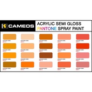 PANTONE Color P67 - Aerosol Spray Paint - CAMEOS 400ML/Bottle
