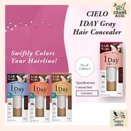 HOYU Cielo 1DAY Gray Hair Concealer japan