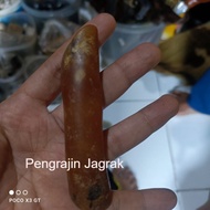 Fossil sumsum original original While PJ75433