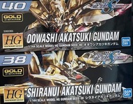 全新 HG Shiranui Akatsuki Gundam 不知火 曉 + HG Oowashi Akatsuki 曉 大鷲型 電鍍版 Gundam Seed Destiny 系列 高達 模型