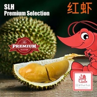 SLH 红虾 (RED PRAWN - 400g) Fresh Durian Delivery