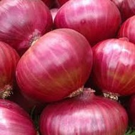 RED ONION/ BAWANG MERAH INDIA 5KG