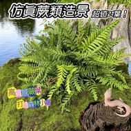 [Wildland] Simulation Fern Landscaping Reptile Leaves Gecko Turtle Reptile Accessories