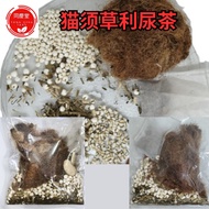 猫须草利尿茶 Clerodendranthus spicatus Diuretic Tea/ Misai kucing teh