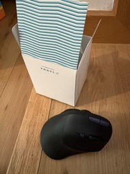 SANWA Ergonomic Wireless Mouse