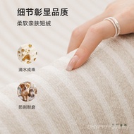 Cream Living Room Carpet New Style Waterproof Style Wipeable Household Light Luxury Disposable Floor