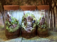 訂做 苔蘚微景觀  鼠婦生態缸 天然綠植 苔蘚生態瓶 植物擺件 桌面擺設 窗台裝飾 苔蘚花園 懶人植物 辦公室擺設 情緒治癒 禮物