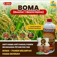 BOMA Fertilizer to Eradicate Pests + ZPT | Eradicate Caterpillars on Planthoppers | Liquid Fertilize