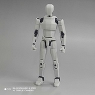Body Lucky 13 3D Printing Action Figure dummy13 Multi-Joint Action Figure