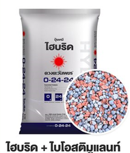 (ยกกระสอบ25kg) ปุ๋ยไฮบริด 0-24-24 กดใบไม่มีไนโตรเจน ลดการแตกยอดอ่อน เร่งดอก #ดวงตะวันเพชร