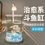 All-in-One Betta Fish Tank Starter Kit with Breathable Cylinder Head 5 Gallon Crystal Clear Glass Aq