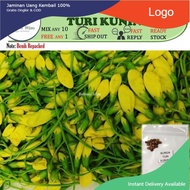 10 biji benih pokok BUNGA TURI kuning seeds