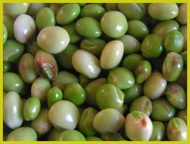 ❍ ◭ ✸ Kadyos or Pigeon Pea Seeds