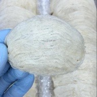 NUMIT BIRD NEST Yan Zhan (Facebook page : Numit birdnest) 浓密燕窝 燕盏