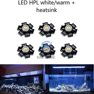 HPL Lamp 1W White High Power LED White 1Watt 1 W Watt white warm