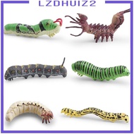 [Lzdhuiz2] 6 3D Simulation Larvae Models, Educational Model Decor, Miniature Layout, Caterpillar Toy