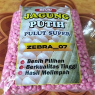 PROMOO 1 KG BENIH JAGUNG KETAN PUTIH PULUT bibit tanaman melon sayuran cau bau cabai sosin benih pad