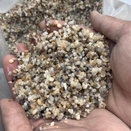 1kg Small Size Salt And Pepper Pebbles / Natural Sea Pebbles Filter Water To Decorate Aquariums, Ornamental Plants