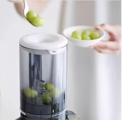 220V olayks Large Mouth Juicer Automatic Home Juice Extractor Pulp Separation AG