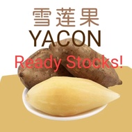 Organic  (Natural Health) UBI Yacon  Produce Cameron Highlands