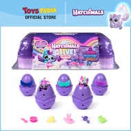 Hatchimals Alive Neon Rainbow Egg Box Play Set with 5 Self-Hatching Eggs and 11 Accessories for Imag